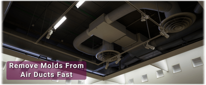 Air Duct Mold Removal in Manchester NH